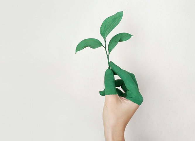 Marcos Pereira e Oliveira - MPO Advogados